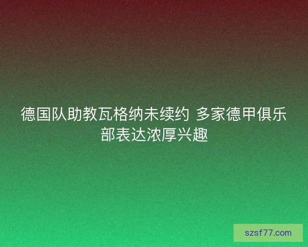德国队助教瓦格纳未续约 多家德甲俱乐部表达浓厚兴趣